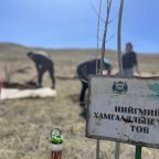 Нэг албан хаагч- Таван мод арга хэмжээнд нэгдлээ